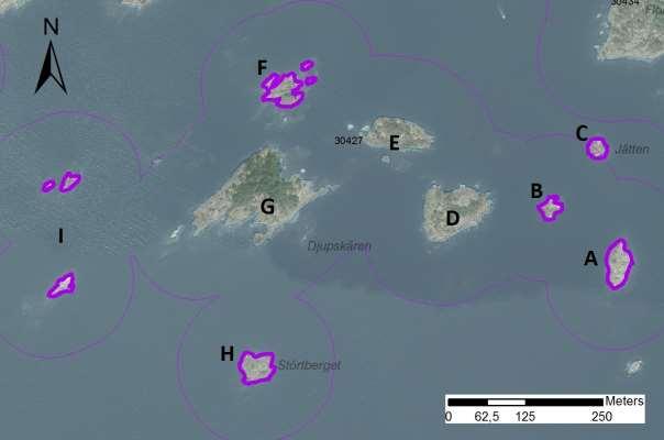 enskilda öar Arbetsinsats åtgång (1: <0,5 dv, 2: 0,5-1 Total areal dv, 3: >1 dv) 30427 Djupskären SE0610001 7 2 0,98 Beskrivning: Lokalen består av tre delvis skogklädda holmar och sju klippskär.