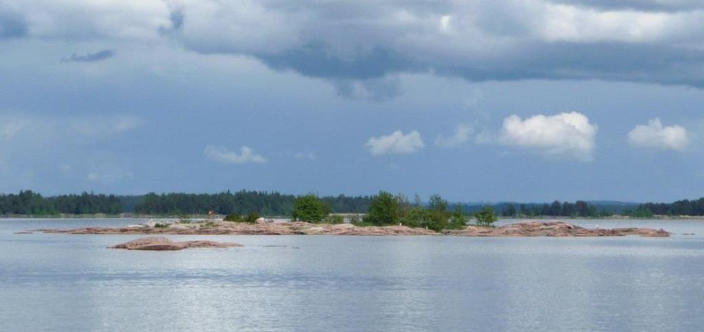 Sida 3(8) Syfte med åtgärder Måsfåglar som häckar i kolonier på skär och uddar vill ha öppna, ostörda ytor utan uppväxande buskar och träd.