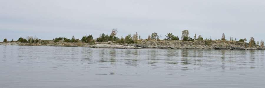 30428 Måseskären, vy från öster (F) före röjning. Foto 2011.
