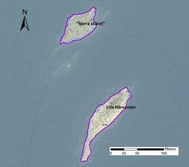 enskilda öar Arbetsinsats åtgång (1: <0,5 dv, 2: 0,5-1 dv, 3: >1 dv) Total areal 30430 Lilla Hårvanten SE0610001 1 1 0,67 Beskrivning: Lilla Hårvanten är ett fint klippskär med svagt sluttande hällar