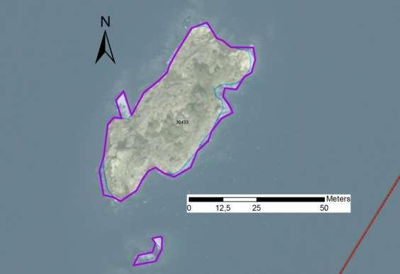 enskilda öar Arbetsinsats åtgång (1: <0,5 dv, 2: 0,5-1 Total areal dv, 3: >1 dv) 30433 Skatens sydostskär SE0610001 1 2 0,19 Beskrivning: Lokalen består av ett litet skär i skyddat läge i inre delen