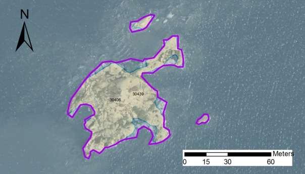 enskilda öar Arbetsinsats åtgång (1: <0,5 dv, 2: 0,5-1 dv, 3: Total areal >1 dv) 30439 Hästholmarnas västskär SE0610001 3 1 0,34 Beskrivning: Hästholmarnas västskär utgörs av ett klippskär med några