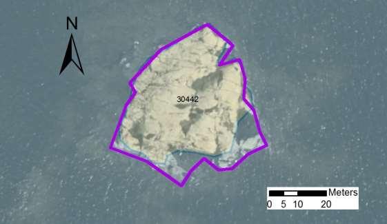 enskilda öar Arbetsinsats åtgång (1: <0,5 dv, 2: 0,5-1 dv, Total areal 3: >1 dv) 30442 Lillhamnens nordostskär SE0610001 1 1 0,19 Beskrivning: Fåglar: Nytt fågelskär i inventeringen med