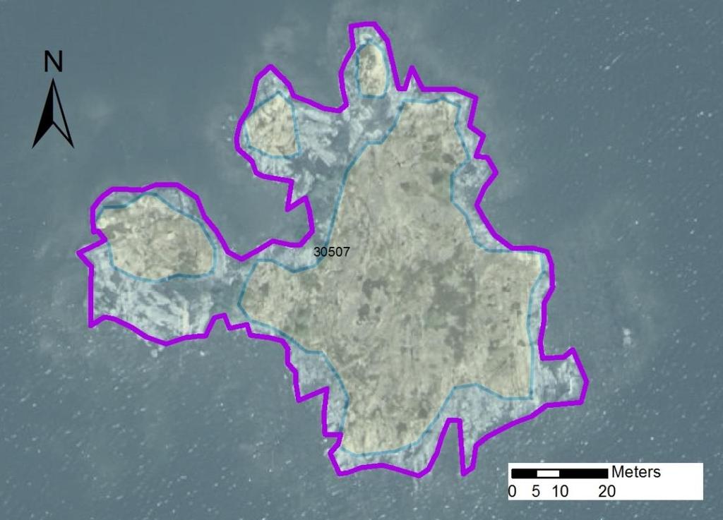 Arbetsinsats Fågel- åtgång Total skär områdes enskilda (1: <0,5 dv, 2: 0,5- areal nr öar 1 dv, 3: >1 dv) 30507 Kråkholmarnas nordostskär SE0610001 4 2 0,49 Beskrivning: Lokalen består av ett fint