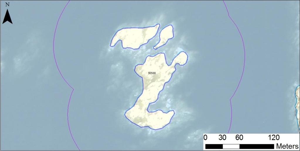 områdes nr enskilda öar Arbetsinsats åtgång (1: <0,5 dv, 2: 0,5-1 dv, 3: >1 dv) Total areal 30508 Skrubbans västskär SE0610001 3 1 0,96 Beskrivning: Lokalen utgörs av två låga klippskär väster om