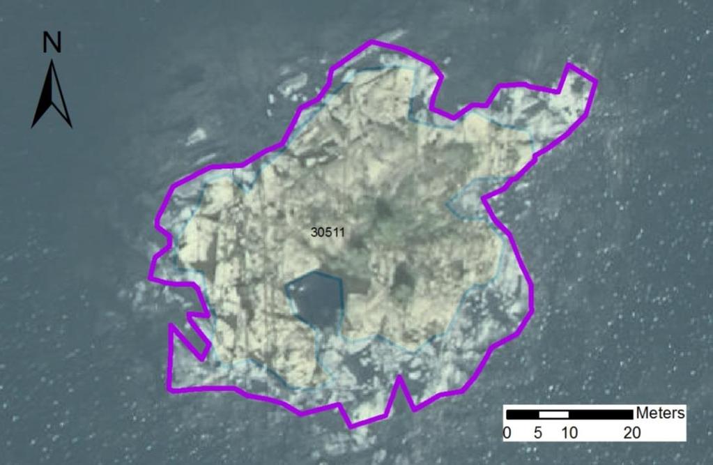 områdes nr enskilda öar Arbetsinsats åtgång (1: <0,5 dv, 2: 0,5-1 dv, 3: >1 dv) Total areal 30511 Kråkholmsskär SE0610001 1 1 0,26 Beskrivning: Lokalen består av ett lågt klippskär längst ut i