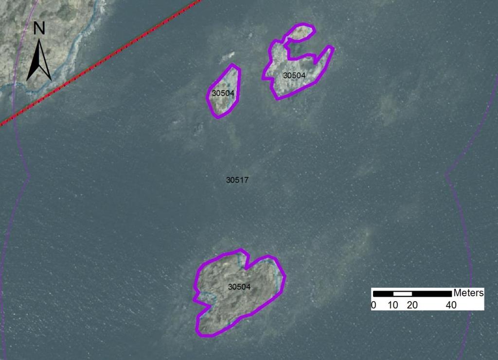 enskilda öar Tidsåtgång (1: <0,5 dv, 2: 0,5-1 dv, 3: >1 dv) Total areal 30517 Lövstackans nordskär SE0610001 3 1 0,23 Beskrivning: Lokalen består av två dellokaler.