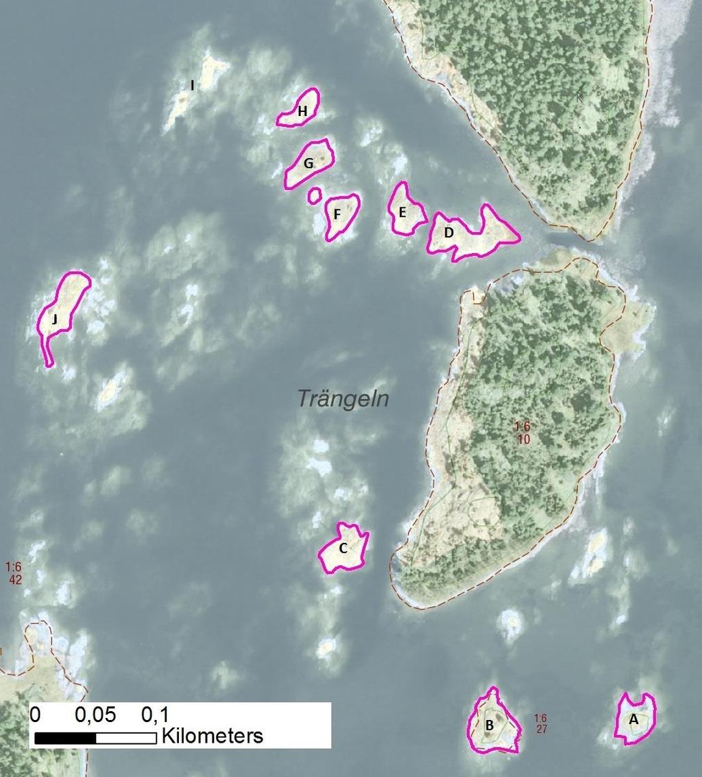 enskilda öar Arbetsinsats åtgång (1: <0,5 dv, 2: 0,5-1 dv, 3: >1 dv) Total areal 30605 Halsöns sydvästskär SE0610001 19 2 0,94 Beskrivning: Lokalen utgörs av ett tiotal små och låga skär på grunt