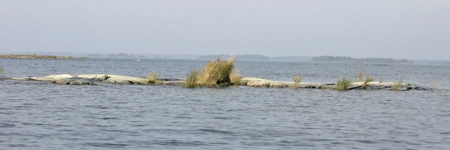 Foto 2011. 30605 I. Sittskär väster om Trängeln före röjning.