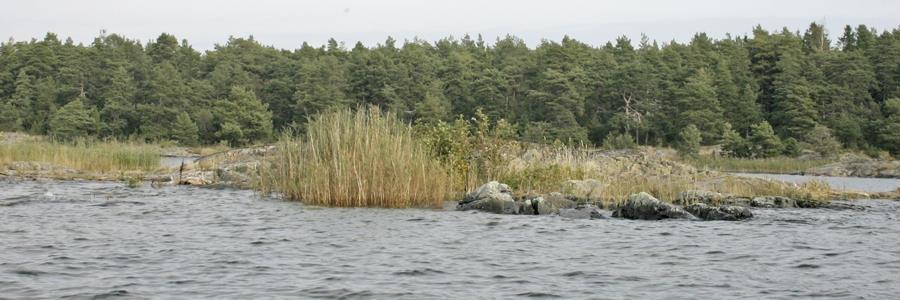 Skär  Foto 2011.