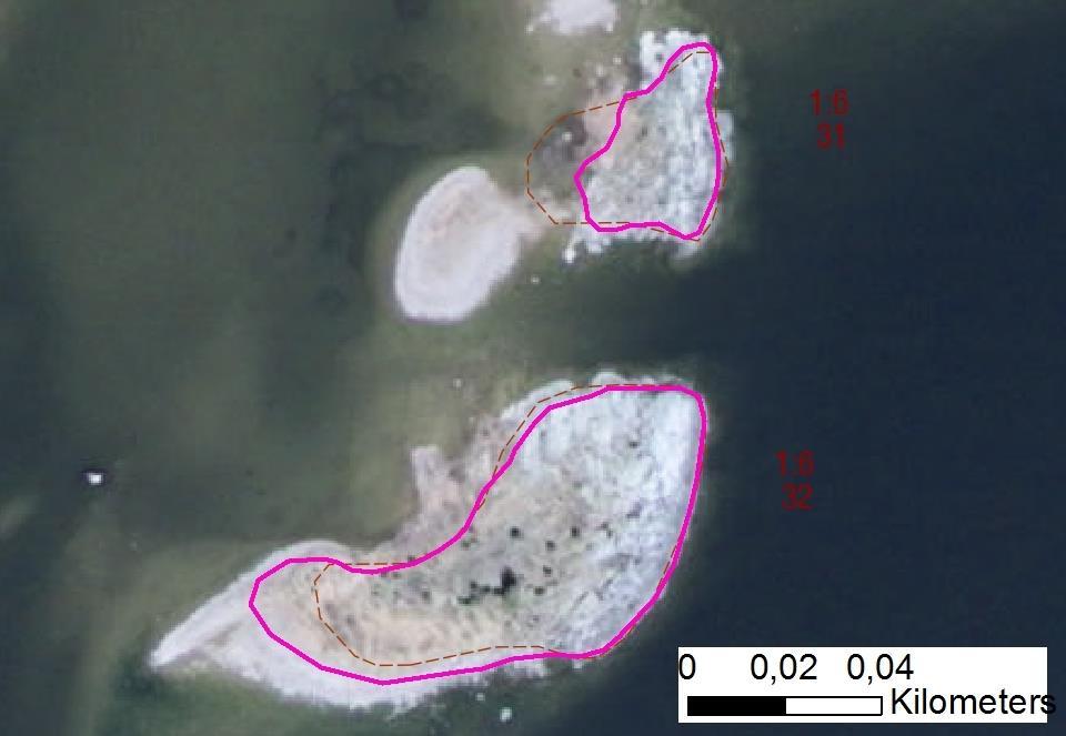 Tidsåtgång (1: <0,5 dv, 2: 0,5-1 dv, 3: >1 dv) Total areal enskilda öar 30610 Åkersholmarna SE0610001 2 3 0,38 Beskrivning: Omfattande röjningsbehov.