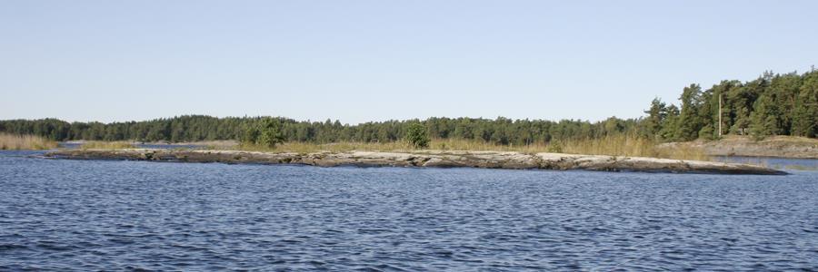 30610 Norrskäret, vy från öster före röjning.