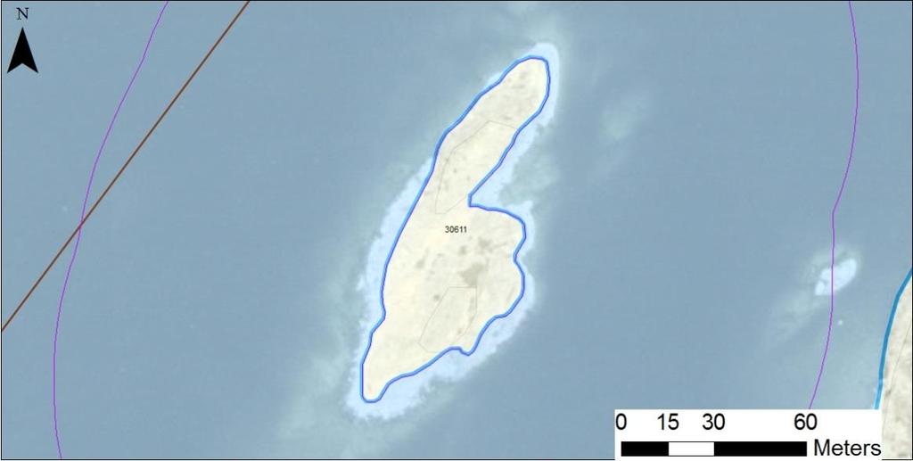 Tidsåtgång (1: <0,5 dv, 2: 0,5-1 dv, 3: >1 dv) Total areal enskilda öar 30611 Lilla Klubbens ostskär SE0610001 1 1 0,30 Beskrivning: Lokalen utgörs av ett fint, kalt klippskär med gott om sprickor