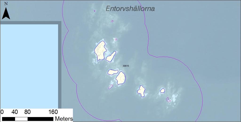 enskilda öar Arbetsinsats åtgång (1: <0,5 dv, 2: 0,5-1 dv, 3: >1 dv) Total areal 30615 Entorvshällorna SE0610001 11 1 0,39 Beskrivning: Lokalen utgörs en tät grupp med fem relativt små klippskär i