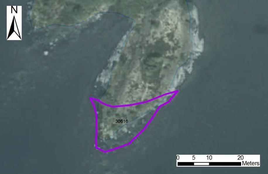 enskilda öar Arbetsinsats åtgång (1: <0,5 dv, 2: 0,5-1 dv, 3: >1 dv) Total areal 30616 Kalvöns sydudde SE0610001 1 2 0,024 Beskrivning: Lokalen utgörs av en udde med tallskog på