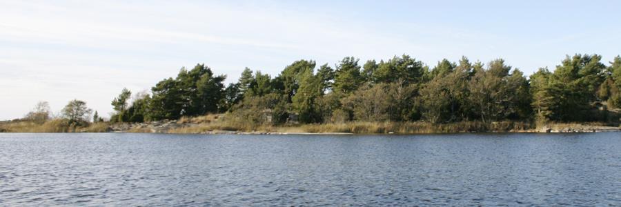 30701 Östra holmen, blandskog på hällmark före röjning. Foto 2011. 30701 Skäret mellan Huvudön och östra ön före röjning.