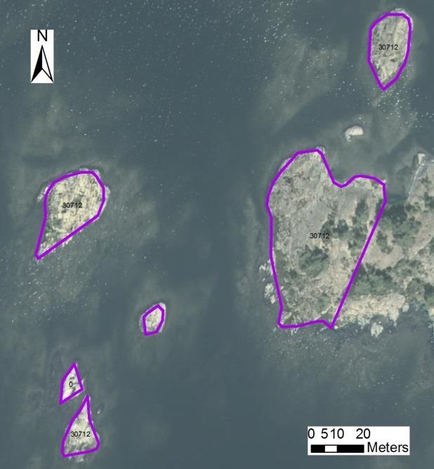 N områdes nr Tidsåtgång (1: <0,5 dv, 2: 0,5-1 dv, 3: >1 dv) Total areal enskilda öar 30712 Trängelns västskär SE0610001 5 2 0,32 Beskrivning: Litet lågt skär vid