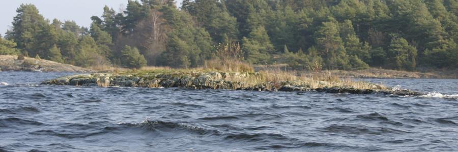 Skötselbehov: Litet, röj bort lövsly på de mindre skären. På det stora skäret frigörs den västra delen helt från buskar, sly och tallar.