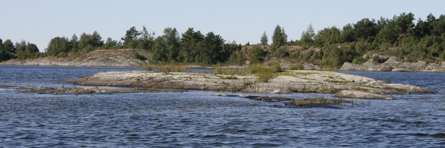 c. Mellersta skäret, vy från sydost före röjning. Foto 2011. d.