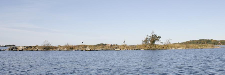Fåglar: Fint, klassiskt fågelskär med förutsättningar för måsfåglar, vadare, andfåglar och storlom. På senare år allt färre fåglar på lokalen, helt tomt något år.