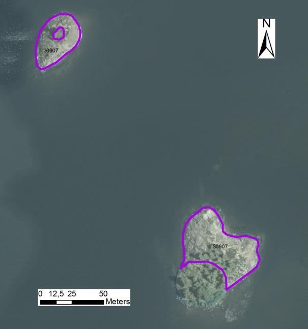 N områdes nr enskilda öar Tidsåtgång (1: <0,5 dv, 2: 0,5-1 dv, 3: >1 dv) Total areal 30907 Norra Hököns sydskär (yttre) SE0610001 2 1 0,31 Beskrivning: Norra Hököns yttre sydskär (30907) utgörs av