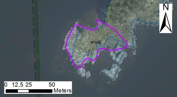 Den yttre delen av skäret är i stort sett helt kal, igenväxningsvegetationen tilltar ju längre in mot skogen man kommer.