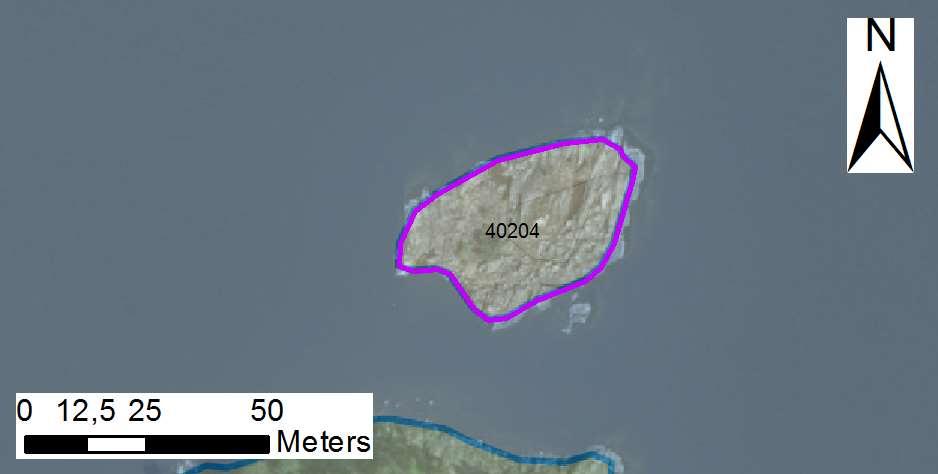 enskilda öar Arbetsinsats åtgång (1: <0,5 dv, 2: 0,5-1 dv, 3: >1 dv) Total areal 40204 Skorvens nordskär SE0610006 1 1 0,12 Beskrivning: Skorvens nordskär, även kallat Skarvskär