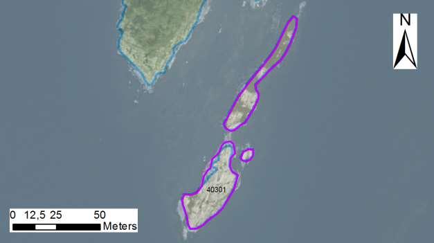 enskilda öar Arbetsinsats åtgång (1: <0,5 dv, 2: 0,5-1 dv, 3: >1 dv) Total areal 40301 Hasselskär SE0610006 5 1 0,13 Beskrivning: Små kobbar i nord-sydlig riktning i anslutning till trädklädda holmen