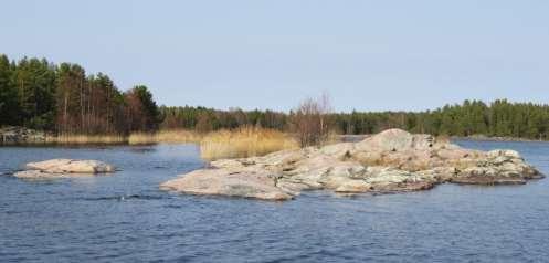 Röjningsbehov: De två skären (sammanhängande) sydost om huvudön ska röjas från all sly och buskar.