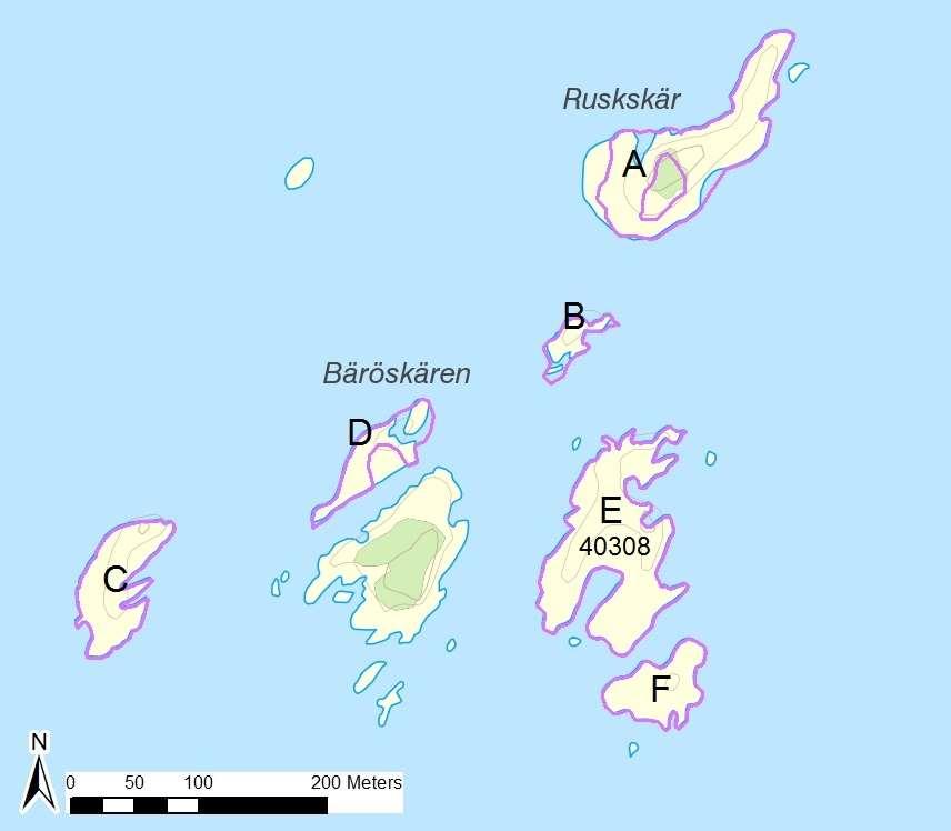 enskilda öar Arbetsinsats åtgång (1: <0,5 dv, 2: 0,5-1 dv, 3: >1 dv) Total areal 40308 Bäröskären & Ruskskär SE0610006 6 2 3,05 Beskrivning: Ganska stor ögrupp med stor variation av häckningsmiljöer.