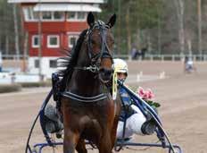Rapida tog promenadseger 130519 Nära full pott på Färjestad 130521 Maximal
