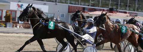 Stinger Hanover hade verkligen samlat i hop till en seger efter två bra insatser.