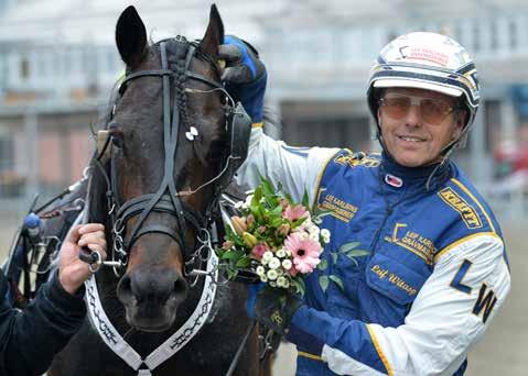 nyhetsbörsen maj2013 130509 Grym insats av Stein Daylight Stein Daylight svarade för en smått fantastisk insats på Solvalla igår. Trots ett stentufft lopp tog femåringen en lätt seger.