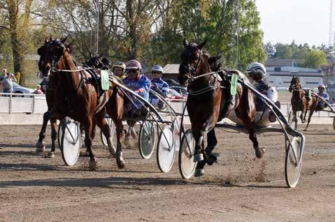 nyhetsbörsen maj2013 130521 Maximal utdelning på Romme Dubbelseger på Bergsåker Stinger Hanover håller undan före stallkamraten Castor di Quattro.