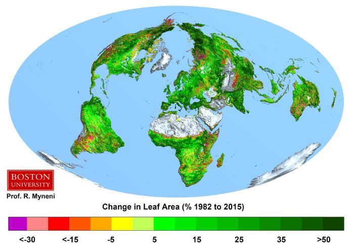 Jorden har blivit 30% grönare på 35 år Earth getting greener due to