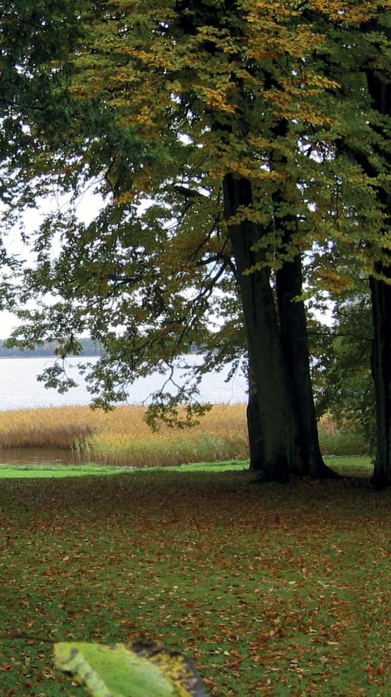 Plan för Ringsjöbandet Del