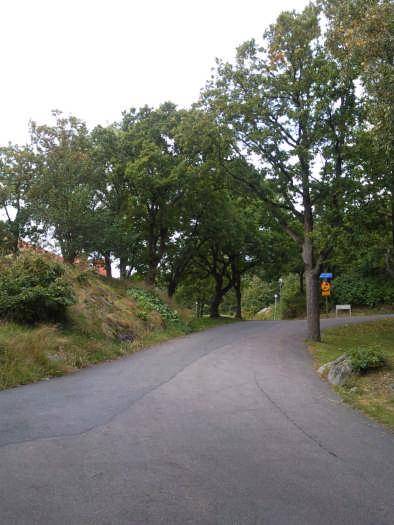 Det stora upplaget vid parkeringen bör tas bort då massor ligger alldeles intill trädstammar, vilket medför att träden försämras snabbt.