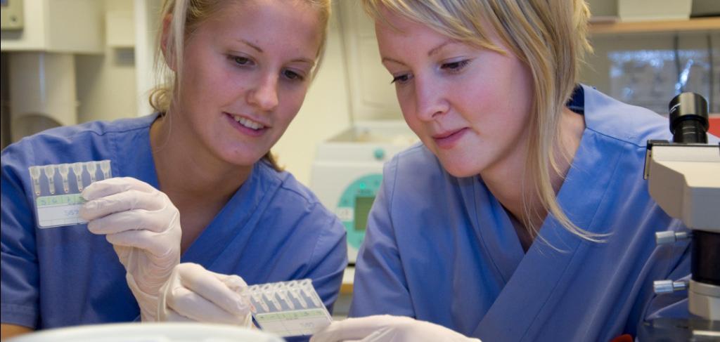 Förslaget i korthet Utgångspunkten är att ALF-medlen ska säkra att klinisk utbildning av läkare håller hög kvalitet på samtliga sju studieorter i Sverige.