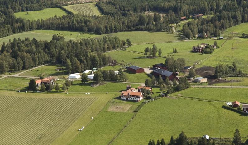 Stuteriets priser Här ingår foder, daglig omvårdnad, tappning av hingst samt seminering av godkänd seminör.