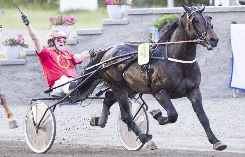 Derbyvinnare & outcrosshingst Kraftfulle Pydin gör debut i aveln Styrka rakt igenom kanonfina tvååringar Vilken hingst passar bäst till ditt sto?