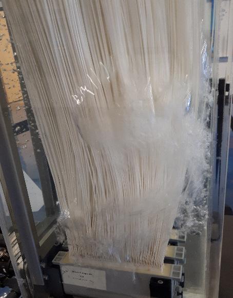För luftning av membranen hade samtliga reningsverk 3 7 blåsmaskiner som endast försörjde membranen med luft. Figur 4.