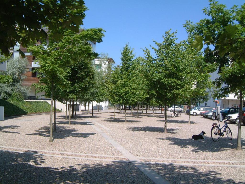 23 (30) Figur 18. Trädplantering på en torgyta 3.