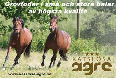Elfstrand Maria a Å 0--0 0 -- Elias Marc lä, HD -- 0 0 -- 0 Eriksson Ulrika A lä J -0-0 0 0-0-0 0 Fajersson Catrin KR -- -- 0 Fyhr Ronnie a J 0-0-0 0-0-0 Gren Anna a J 0-0- 0 0-- 0 Gustafsson Elin a