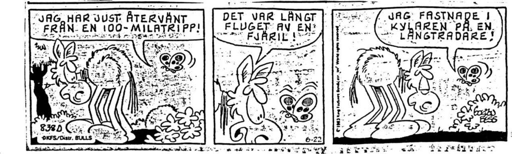 Sid.14 INSEKTINVENTERING på MUSKÖ... forts.