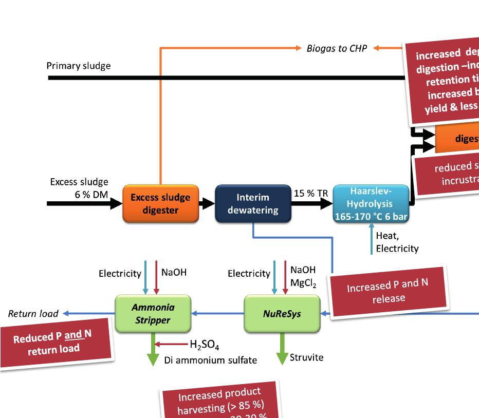Figur 2.2 Beskrivning av en kombinationsprocess som håller på att byggas i Braunschweig i Tyskland för återvinning av både fosfor och kväve.
