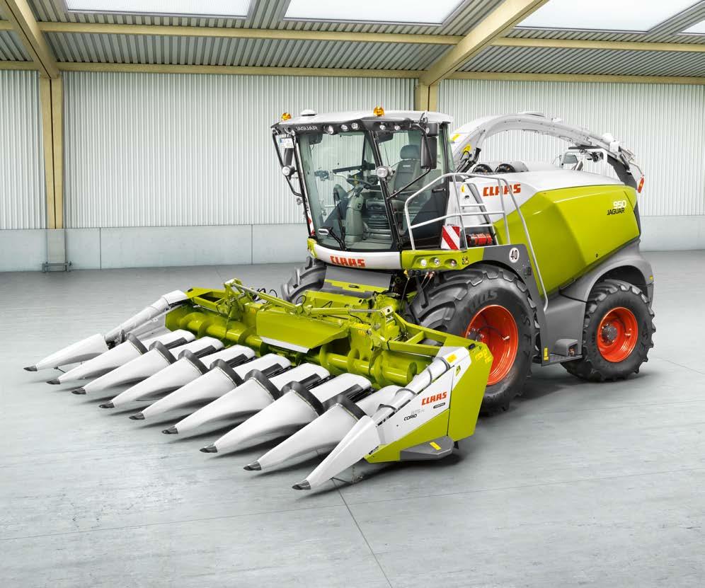 Vid majskolvsensilage handlar det om foder