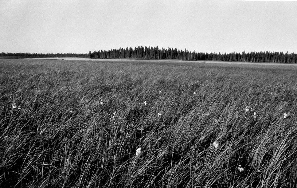 Bevarandeplan Natura 2000 Stensjöflon SE0710149 Namn: