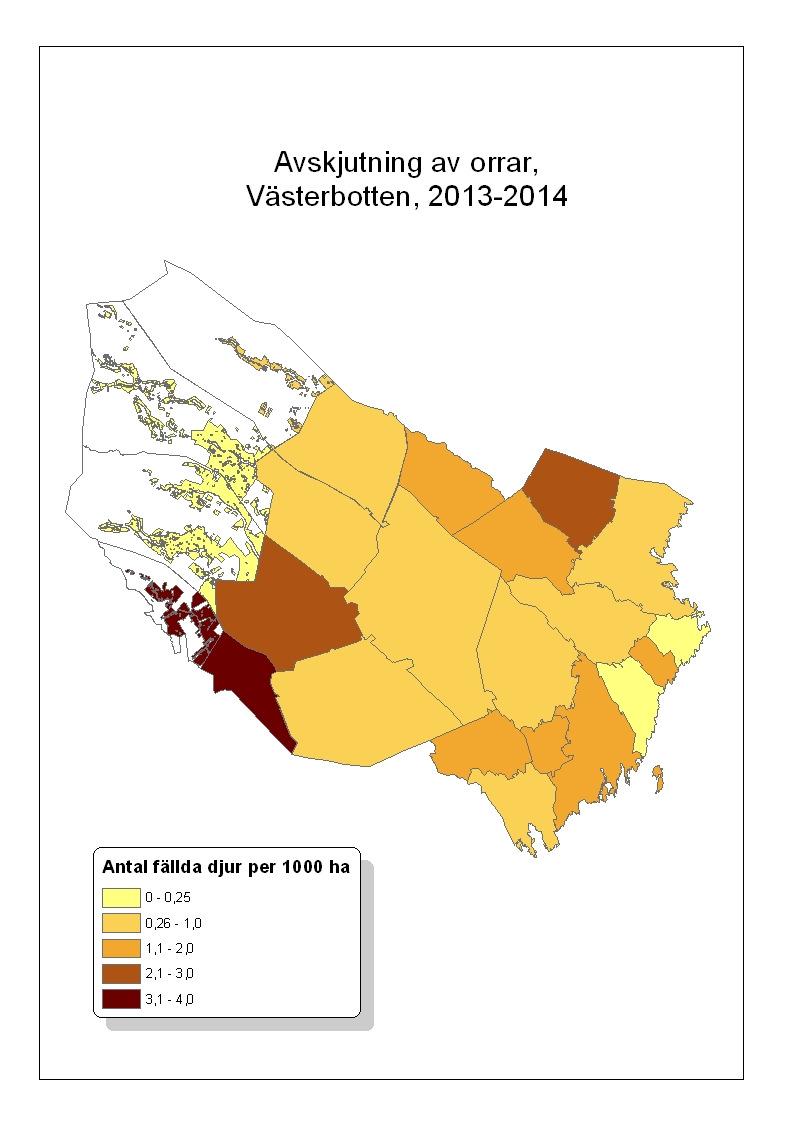 Avskjutning orre Beräknat antal fällda orrar i Västerbottens län,
