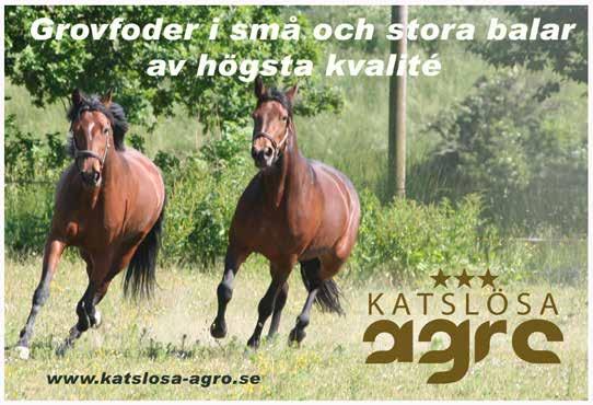 : b åriga oh älre 9.. kr. m. Autostart. Pris:... (.)(.) kr. Information angåene hä