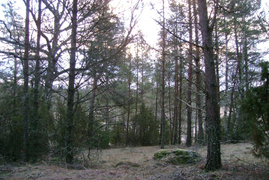 anläggningar tas bort. Maskinarbeten ska göras under tidpunkter så att hjulspår och andra skador inte uppstår.